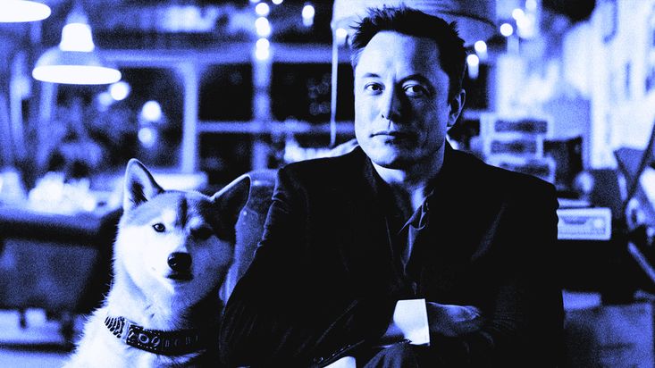 Elon Musk Sparked the Rise of Two Memecoins