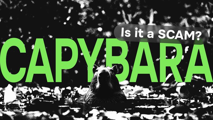 O que é Capybara e será que é scam? Avaliações, opiniões e DYOR