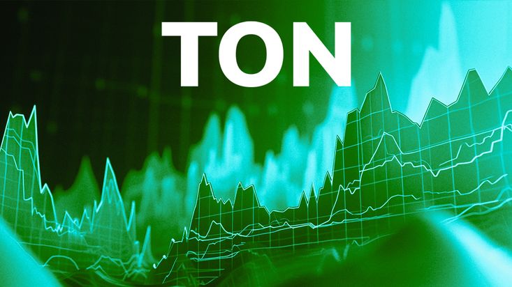 TON Rises in Price Amid Notcoin's Success
