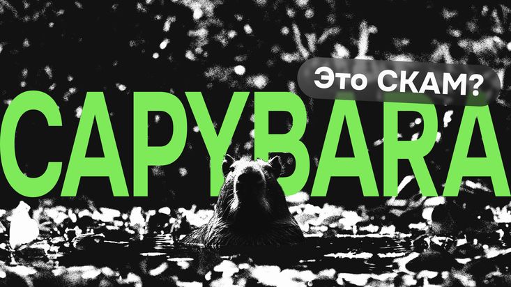Capybara — скам? Обзор, отзывы и DYOR